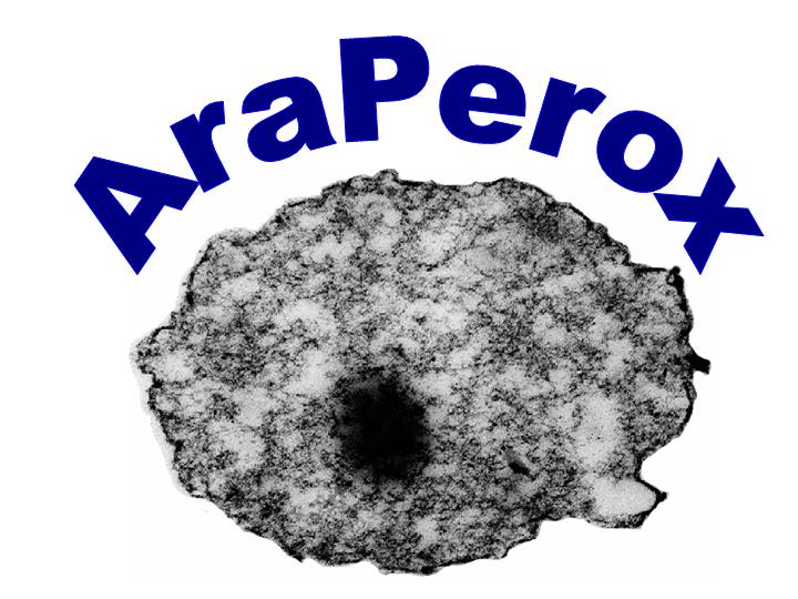 AraPerox