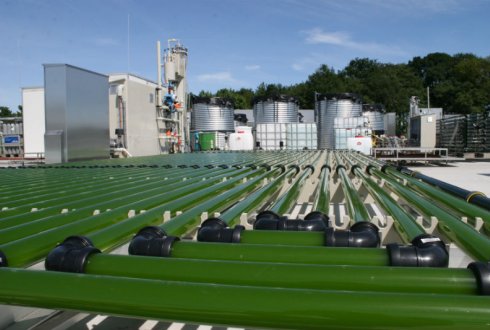AlgaeParc