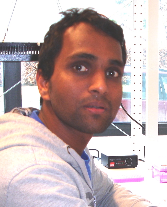 Amit