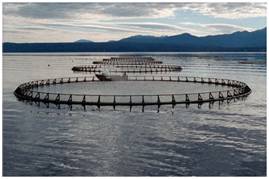 Fish farm